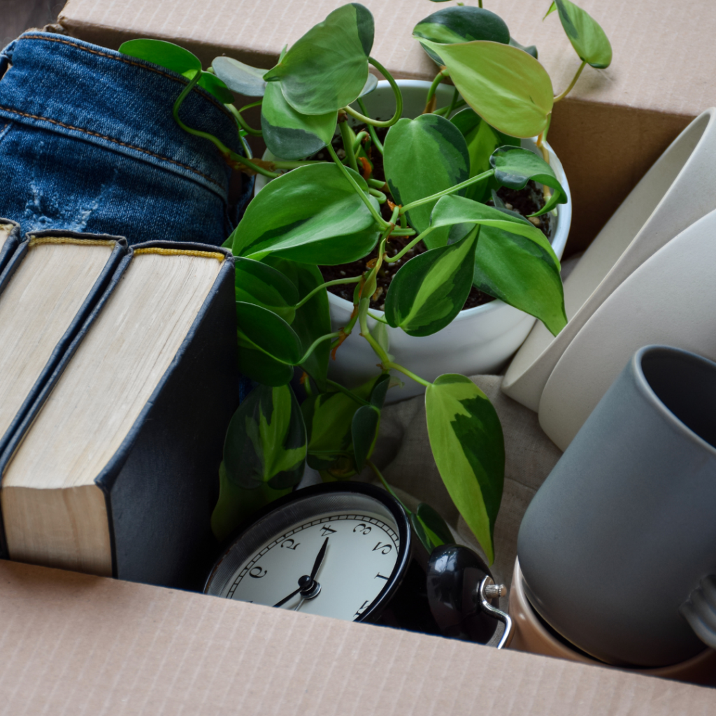 spring declutter